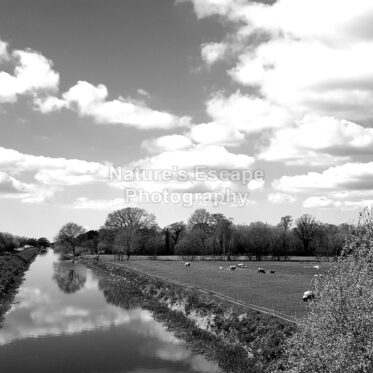 countryside Splendour