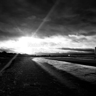 Stormy Days