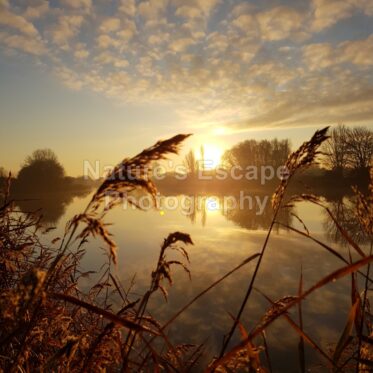 morning warmth