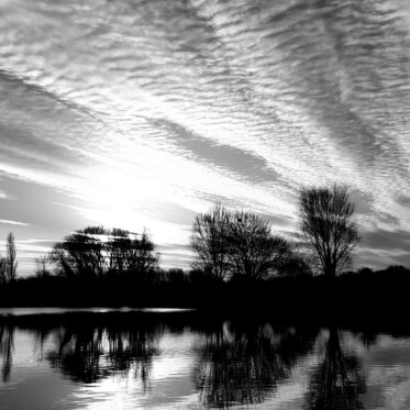Watery Reflections