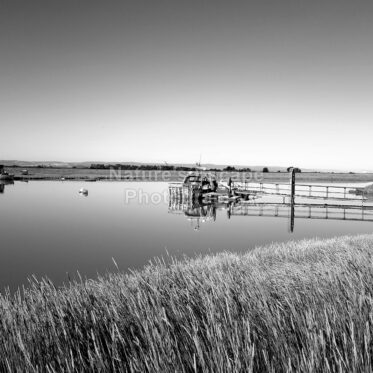 refelctions on the River
